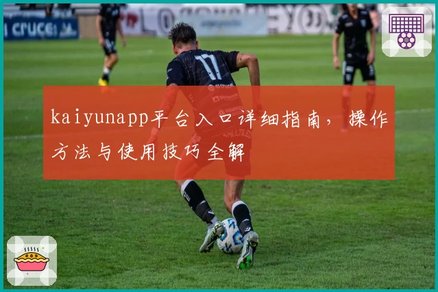 kaiyunapp平台入口详细指南，操作方法与使用技巧全解