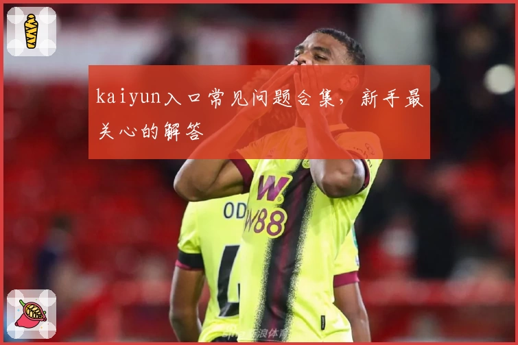 kaiyun入口常见问题合集,新手最关心的解答