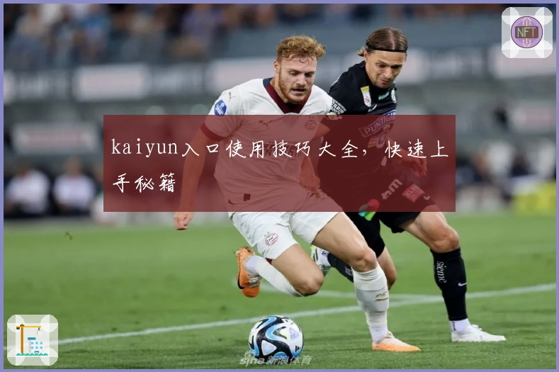 kaiyun入口使用技巧大全，快速上手秘籍
