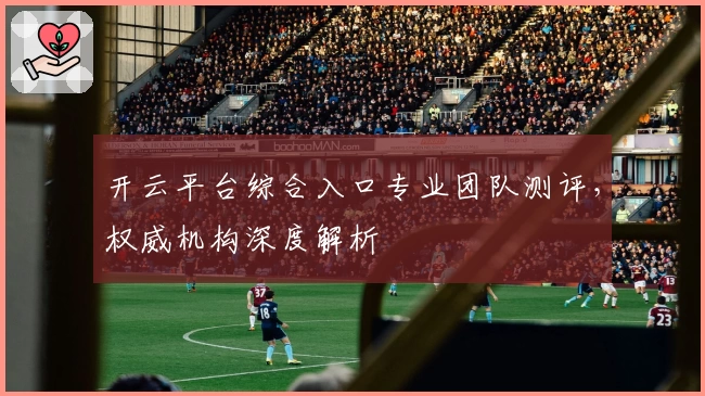 开云平台综合入口专业团队测评,权威机构深度解析
