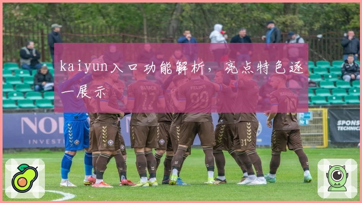 kaiyun入口功能解析，亮点特色逐一展示