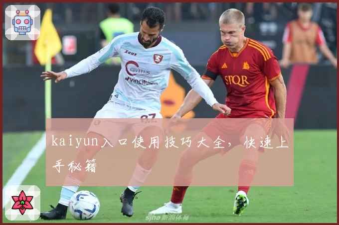 kaiyun入口使用技巧大全，快速上手秘籍